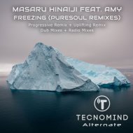 Masaru Hinaiji feat. Amy - Freezing