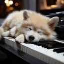 Ritmos de hip-hop de Lofi & Lluvia de Lofi & Música Para Dormir A Los Perros - Tiempo De Lofi Para Perros Que Calma Suavemente ()