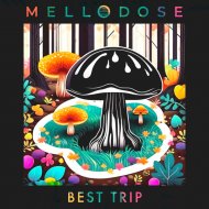Mellodose - Daily Affirmations