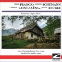 Hans-Christoph Becker-Foss - Reubke Sonata In C minor - Grave, Largo, Allegro Con Fuoco