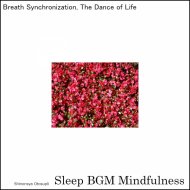 Sleep BGM Mindfulness - Soothing Serenades for Sleep Aid
