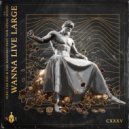 Niko The Kid, Fab Massimo, Sam Stray Wood - Wanna Live Large (Extended Mix)