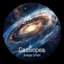 Junipa Orion - Wolf (Original Mix)