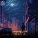 Gonzalez Silva - Privacy