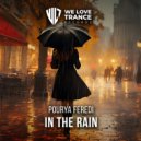 Pourya Feredi - In the Rain (Original Mix)