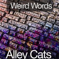 Alley Cats - Surface on Spoil