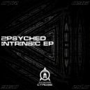 2psyched - Intrinsic (Original Mix)