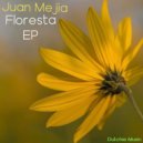 Juan Mejia - Hold Me (Original Mix)