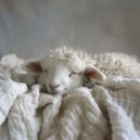 Zilveren Zefier - Golven ochtend meditatie
