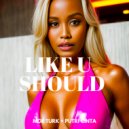 Moe Turk, Putri Cinta - Like U Should (Original Mix)