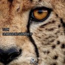 T-Dok - La Mirada Del Guepardo