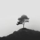 Lichtsnelheid Lied - Zeeavond zen ()