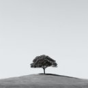 Nachtlucht Symfonie - Zee rustzoek ()