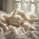 Zilveren Echo - Strand meditatie en rust ()