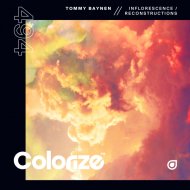 Tommy Baynen - Inflorescence