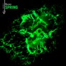 Mazeev - Spring (Original Mix)