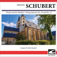 Caspar Da Salò Quartet - Schubert - String Quartet No. 14 in D minor Op. Posth. D 810 - Allegro
