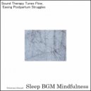 Sleep BGM Mindfulness - Journey to Slumber with the Sweet Melodies of Brain Tune (Original Mix)