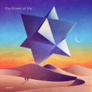 nebo - the flower of life ()