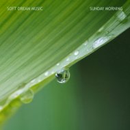 Soft Dream Music - For A Moment