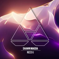 Shawn Magda - Need U