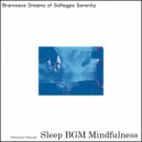 Sleep BGM Mindfulness - Heart\'s Comfort Found in Nature\'s Sound Design for Sleep (Original Mix)