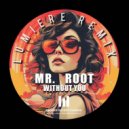 Mr. Root - Without You