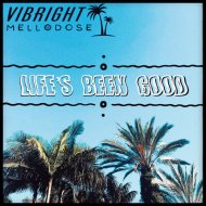 Mellodose & Vibright & One Culture - Windows Down