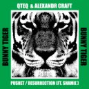 Alexandr Craft, QTEQ feat. Shamil\' - Resurrection (Original Mix)