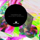 MADREMUSIK - Samba Party (Original Mix)