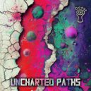 Lurker - Uncharted Paths (Original Mix)