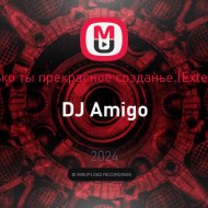 Dj Amigo - Есть только ты прекрасное созданье