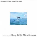 Sleep BGM Mindfulness - Tranquil Night\'s Embrace, Healing the Mind\'s Turmoil (Original Mix)