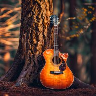 Guitar TBM - Memories of a Time