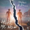 Skytech, Dannic - Hurt Me Now