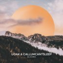 UOAK & CallumCantSleep - Alouma (Extended Mix)
