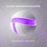 Alexey Mushkin & Solowei - Delicious feelings