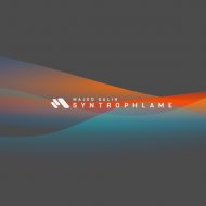 Majed Salih - Syntrophlame