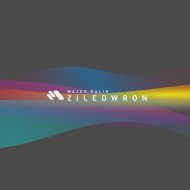 Majed Salih - Ziledwron
