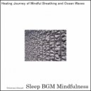 Sleep BGM Mindfulness - Waves of Deep Sleep Break the Chain of Stress Hormones (Original Mix)