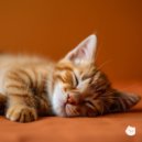 Purry - Whisker Waltz
