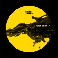 Willem Gribnau - Swing It