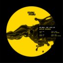 Willem Gribnau - Swing It