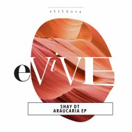 Shay dT - Tambores Del Corazon