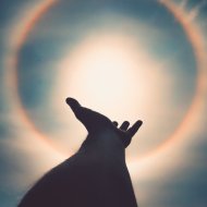 Osc Project - Sun & Soul