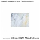 Sleep BGM Mindfulness - Guided to Dreams by the Echoes of Cognitive Harmony (Original Mix)