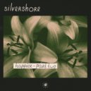 silvershore - i like the way it feels (Original Mix)