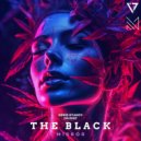 Denis Dyakov, INLIGHT - The Black Mirror