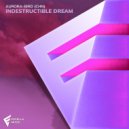 Aurora-bird (CHN) - Indestructible Dream (Extended Mix)