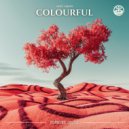 Grey Vision - Colourful (Original Mix)